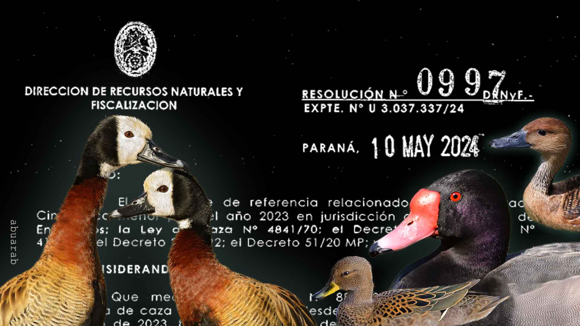 LA EXPLOSIÓN DE LAS ESCOPETAS