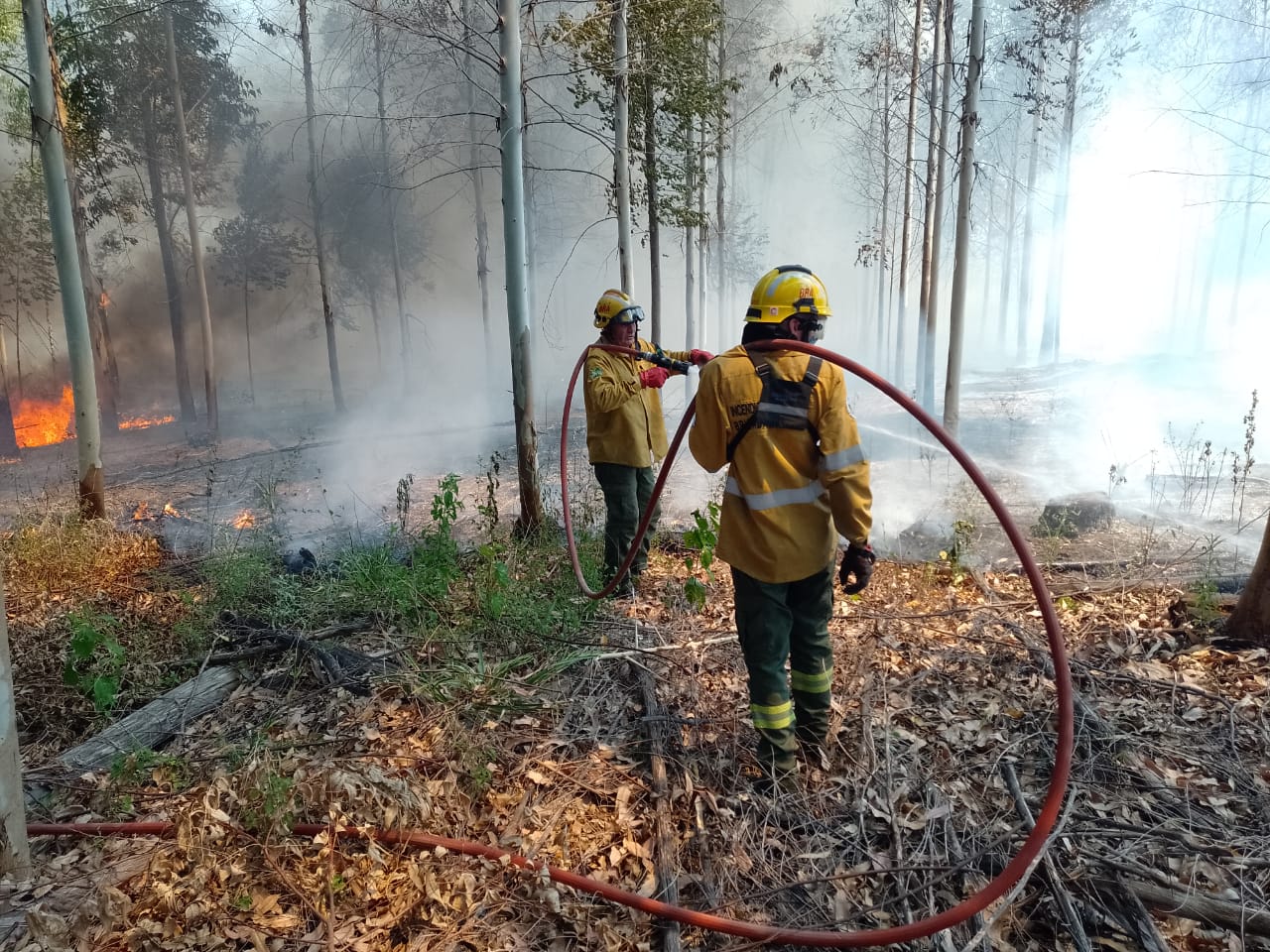UN CORAZÓN ENTRERRIANO EN MEDIO DEL FUEGO PATAGÓNICO